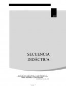 SECUENCIA DIDÁCTICA 3º AÑO