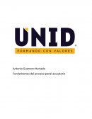 Fundamentos del proceso penal acusatorio