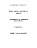 Evidencia 1 cadena de suministros