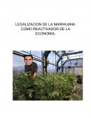 La Legalizacion de la Marihuana como reactivacion de la economia y el turismo en Mexico