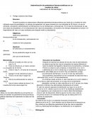 Determinación de parámetros farmacocinéticos