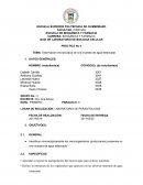 Observación microscópica de una muestra de agua estancada