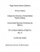 Opinión de la lectura “la décima suma”