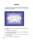 SISTEMAS DE ORGANIZACIÓN