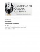 APP UGC (Proyecto Universitario) Emprendimiento