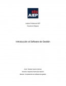 Fundamentos de software de gestión