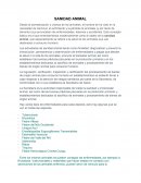 SANIDAD ANIMAL