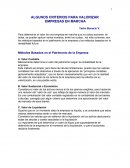 Algunos criterios para valorizar empresas en marcha