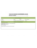 PLAN DE CUIDADOS DE ENFERMERÍA (PLACE)