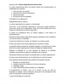 Cultura Organizacional Internacional