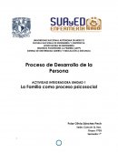 Actividad integradora La familia como proceso psicosocial