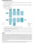 Empresa KIDZANIA DE MÉXICO S.A DE C.V