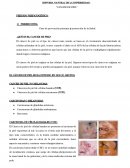 Historia natural del cancer de piel