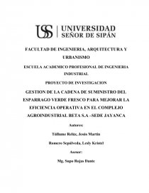 GESTION DE LA CADENA DE SUMINISTRO DEL ESPARRAGO VERDE FRESCO PARA MEJORAR LA EFICIENCIA OPERATIVA EN EL COMPLEJO AGROINDUSTRIAL BETA S.A –SEDE JAYANCA. Página 1