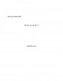 ANALISIS FINANCIERO GRUPO LALA SA DE CV