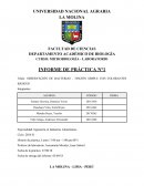 OBSERVACIÓN DE BACTERIAS - TINCIÓN SIMPLE CON COLORANTES BÁSICOS