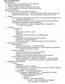 Resumen reticulo endoplasmatico