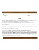 DIAGNOSTICO COMUNITARIO EL PORVENIR