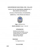 Hidrostatica. Mecánica de fluidos