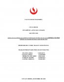 Análisis de los problemas de calidad en la fabricación de filtros de aire en la EMPRESA FILTROS LYS S.A