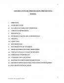 INSTRUCTIVO DE PROTECCION PREVENTIVA