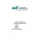 Proyecto final Derecho Corporativo Maestría en Admon ULA