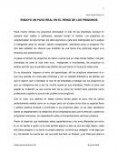 UN PAVO REAL EN EL REINO DE LOS PINGUINOS