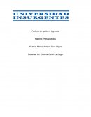 Análisis de gastos e ingresos