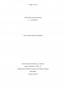 Programa de licenciatura en inglés como lengua extranjera