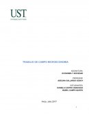 Informe sobre el juego de mercado: Aplicación práctica de la oferta, demanda y microeconomía