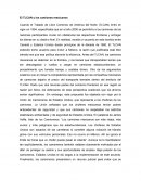 El TLCAN y los camiones mexicanos