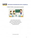 Corrientes teóricas de la psicología