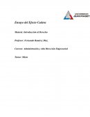 Ensayo del Efecto Cadera