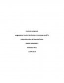 Lenguaje de Control de Datos y Funciones en SQL. Administración de Base de Datos