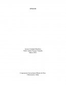 Las universidades públicas en Colombia