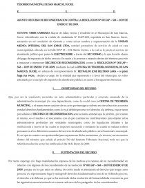 Modelo de recurso de reconsideración. Página 1