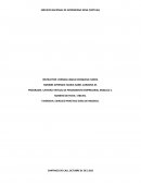 Ejercicio practico ideas de negocio