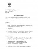 El desarrollo de la democracia en Atenas desde Solón hasta Pericles