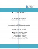 FACTIBILIDAD DE NEGOCIOS