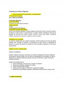 Contenido de un Plan de Negocios
