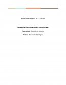 PLANEACION ESTRATEGICA empresa SERVILIM
