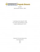 MATRIZ PERFIL COMPETITIVO