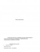 CARTA DE CREDITO TECNOLOGÍA EN COMERCIO EXTERIOR