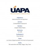 La Cultura Organizacional y el Entorno Empresarial