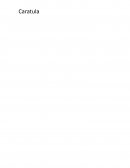 Los jóvenes y el abstencionismo en los sufragios electorales del 2019