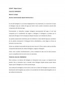 CICLO DEL HIDROGENO