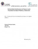 Ev3.- Producción de una artesanía en base a un objeto artístico