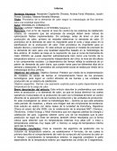 Pronóstico de la demanda de calor según la metodología de Box-Jenkins para una localidad específica