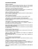 PLAN PROGRAMA PROYECTO