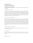 Afectividad plena y sexualidad madura. Tema: Aborto